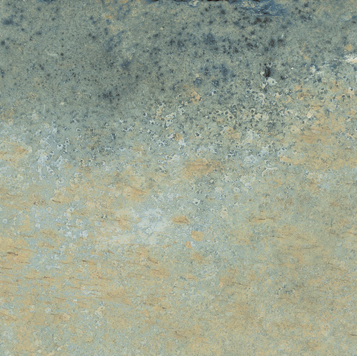 NUSA BOTANIC 25X25 CM MAT NON RECTIFIÉ ANTIDERAPANT